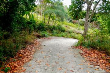 Stunning Sea View Land in Thong Lang/Mae Haad