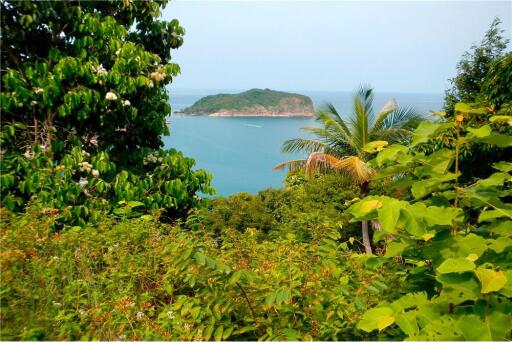 Stunning Sea View Land in Thong Lang/Mae Haad