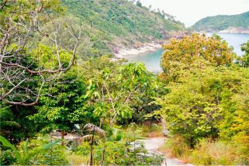 Stunning Sea View Land in Thong Lang/Mae Haad