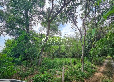 Land For Sale Bang Saray