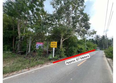 A rare Land in good Location for sale walkable to Ban Ro Beach in Tha Sala, NST