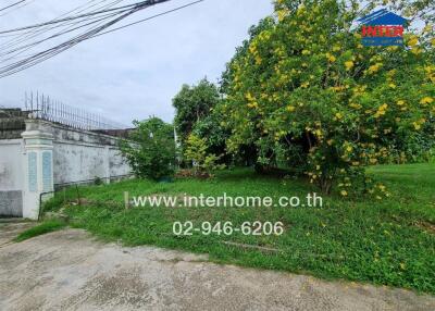 Photo of a yard with green grassy area and trees