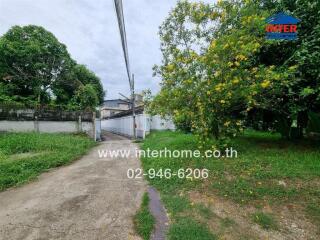 Entrance driveway surrounded by greenery leading to a gate