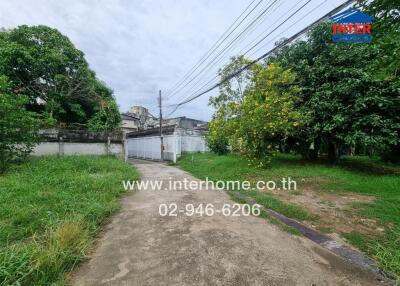 Driveway and gate with green surroundings