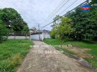 Driveway and gate with green surroundings