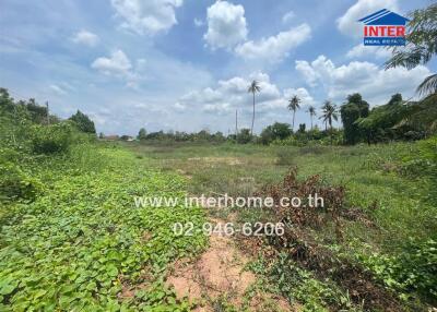 Spacious green vacant lot with trees and blue sky in the background