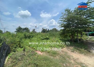 Vacant land with greenery and sky