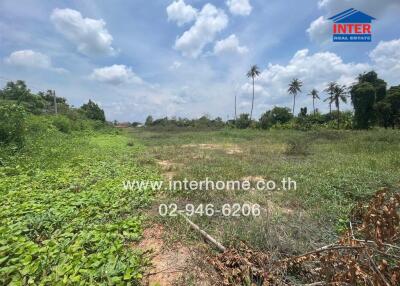 Vacant land with greenery under a blue sky