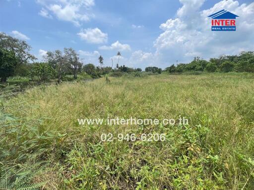 Open plot of land with greenery and a clear sky