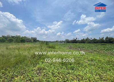 Spacious land with green grass under a blue sky