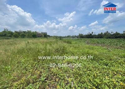 Spacious plot of land with lush greenery under a clear blue sky