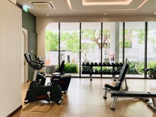 Well-equipped gym with cardio machines and weights