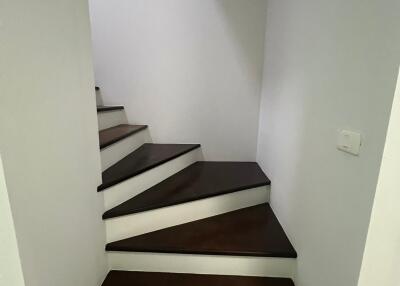Modern staircase with dark wood treads and white risers