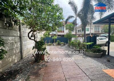 Outdoor yard with trees and plants