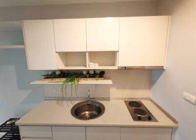 Modern kitchen with white cabinetry and stainless steel sink