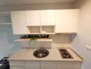 Modern kitchen with white cabinetry and stainless steel sink