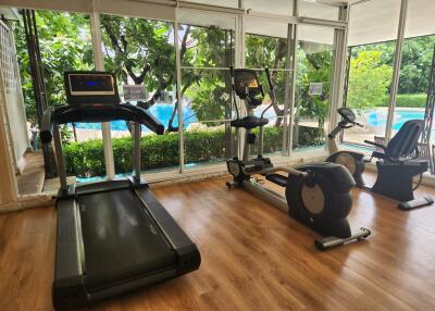 Home gym with treadmills and exercise bikes facing large windows with a view of a garden and pool.