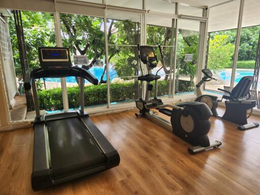 Home gym with treadmills and exercise bikes facing large windows with a view of a garden and pool.