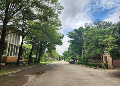View of a tranquil neighborhood street lined with trees