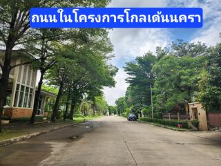 Main road in a residential area with trees and houses on either side