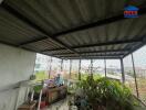 Balcony with potted plants and partial enclosure