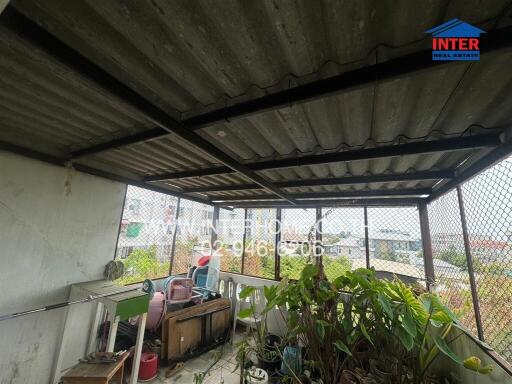 Balcony with potted plants and partial enclosure