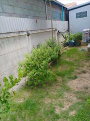 Backyard garden area