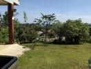 View of a yard with trees and a distant view of buildings