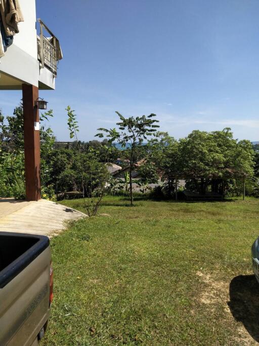 View of a yard with trees and a distant view of buildings