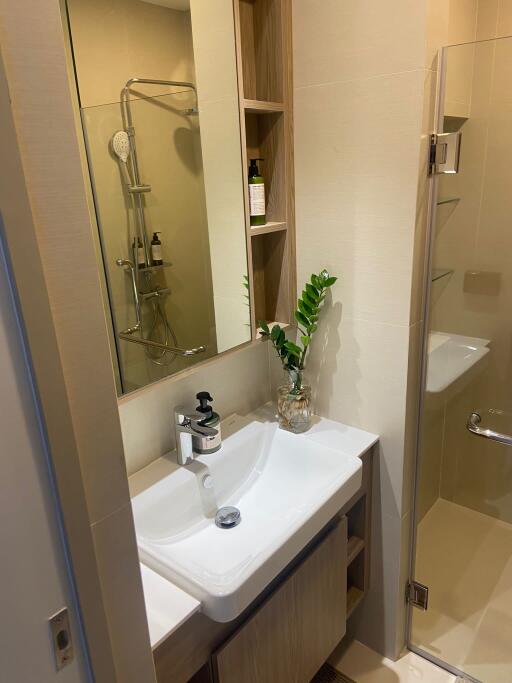 Modern bathroom with sink, shower, and a small plant