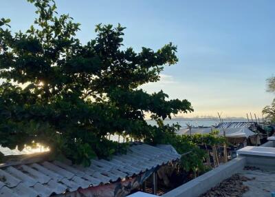 View of the waterfront with trees and rooftops