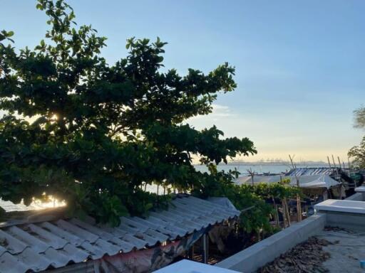 View of the waterfront with trees and rooftops