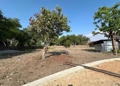 Spacious plot of land with trees and a shed