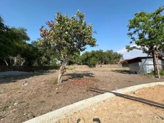 Spacious plot of land with trees and a shed