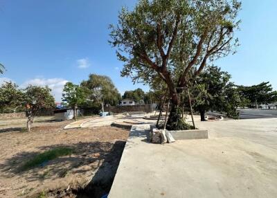 Spacious outdoor area with greenery