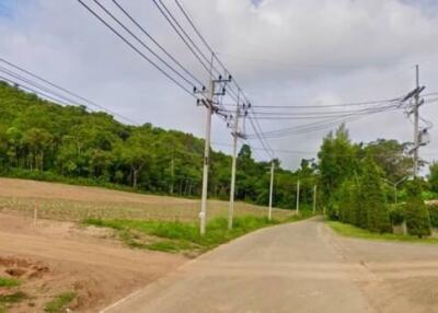 View of a rural road with utility poles and green hills