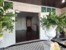 Entrance to a building with large potted plants