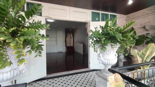 Entrance to a building with large potted plants