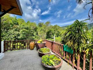 Garden terrace with potted plants and scenic view