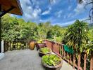 Garden terrace with potted plants and scenic view