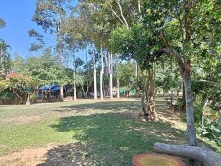 Spacious and lush backyard garden area with trees