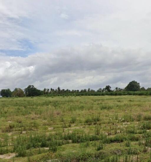 Open field with grassy terrain and trees in the background