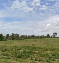 Open grassy field with scattered trees and cloudy sky