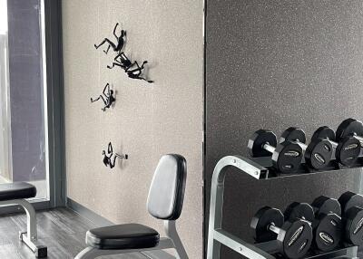 Private gym with weights and exercise equipment