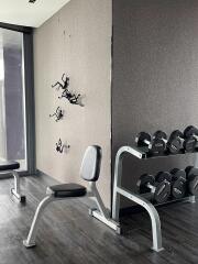 Home gym with exercise equipment