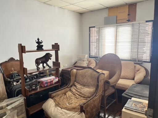 Living room with furniture and decorative items