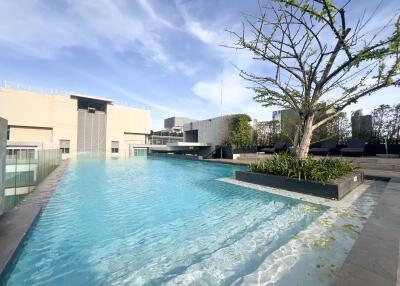 Rooftop swimming pool with modern buildings and tree landscaping