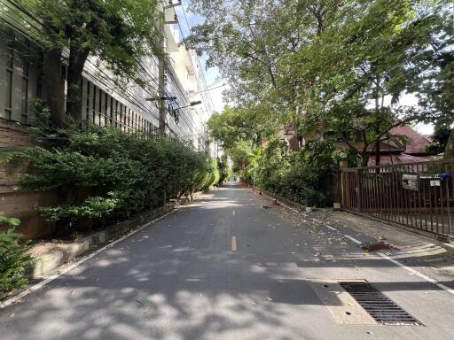 Entrance to the property with greenery