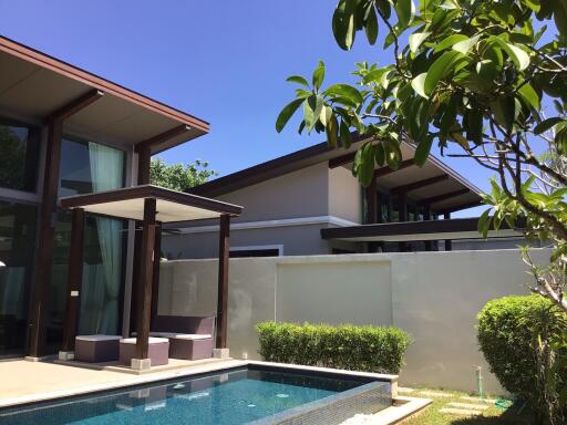 Modern house with pool and garden