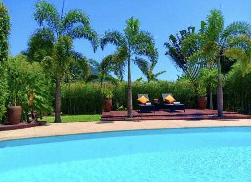 Swimming pool with poolside chairs and tropical plants